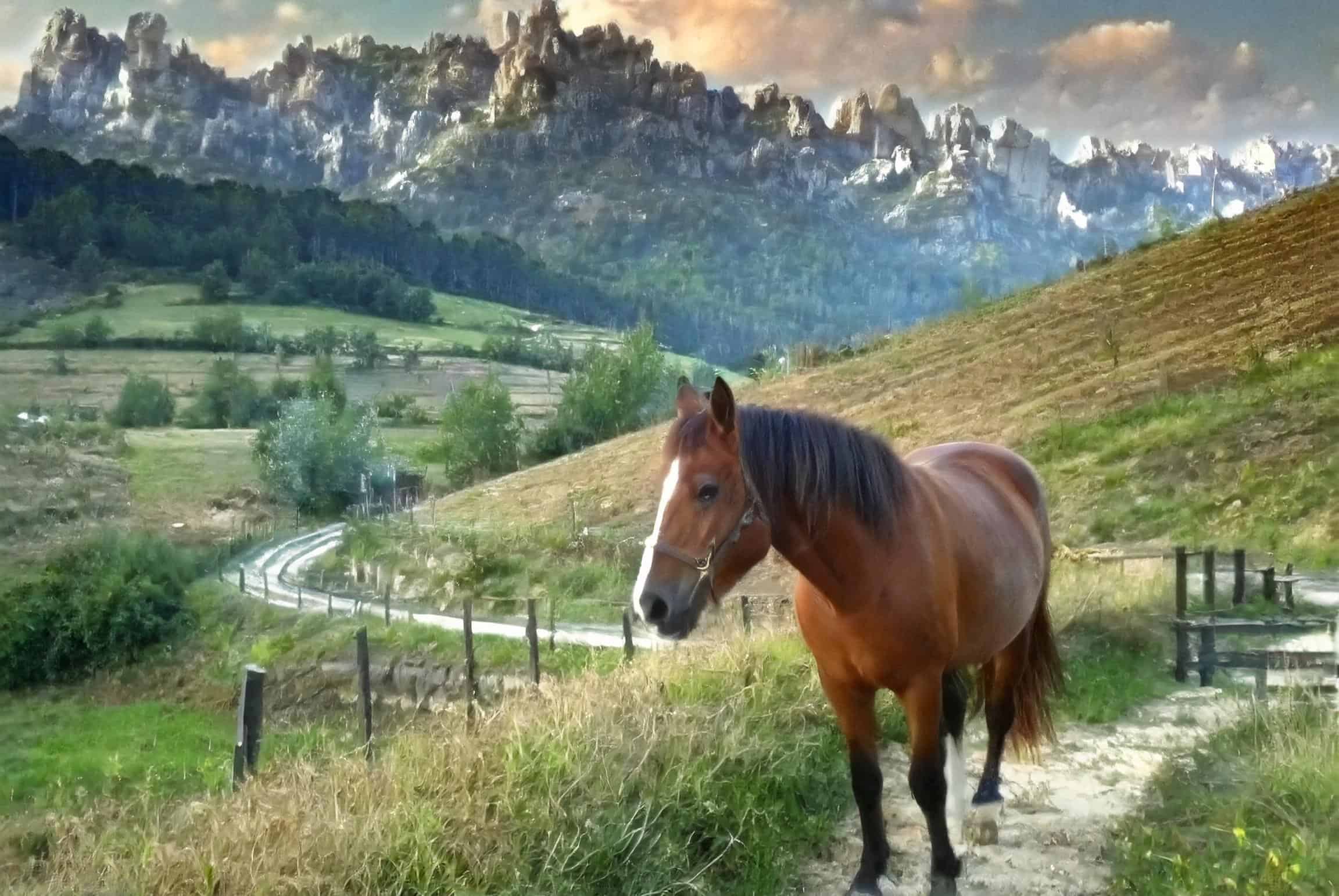 Jaca Navarra